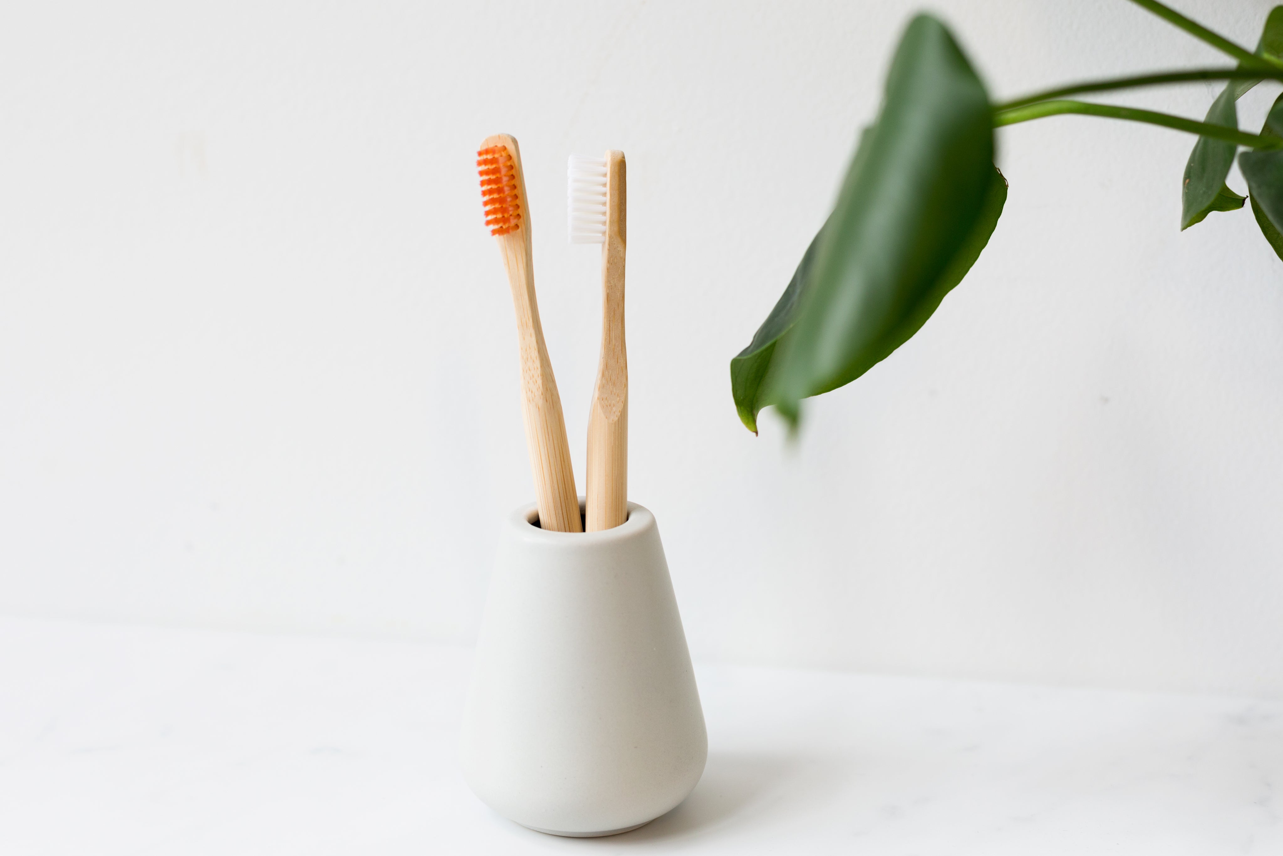 eco-friendly-toothbrushes-in-holder.jpg